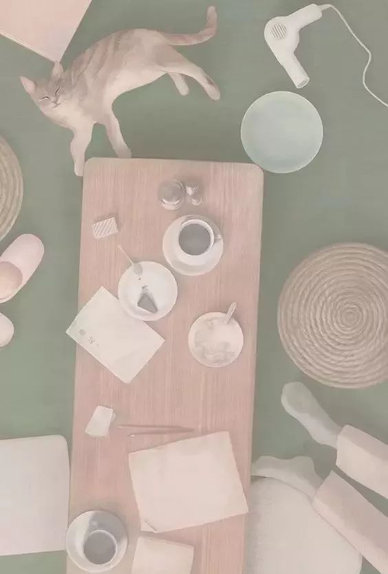 風(fēng)格獨特的插畫圖片，時尚清新色調(diào)手繪插畫