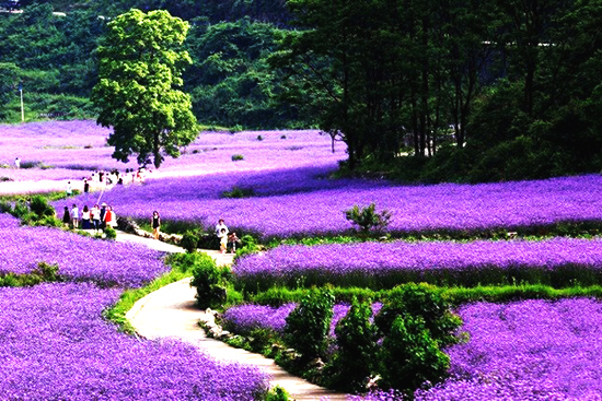 最美貴州風(fēng)景，用山水風(fēng)景點(diǎn)亮貴州文化！