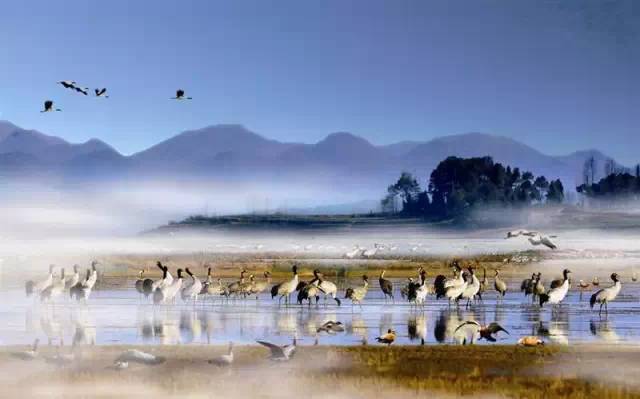 最美貴州風(fēng)景，用山水風(fēng)景點(diǎn)亮貴州文化！