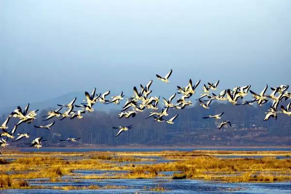 最美貴州風(fēng)景，用山水風(fēng)景點(diǎn)亮貴州文化！