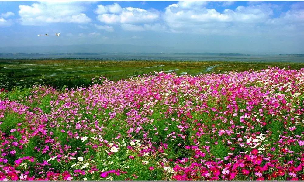 最美貴州風(fēng)景，用山水風(fēng)景點(diǎn)亮貴州文化！