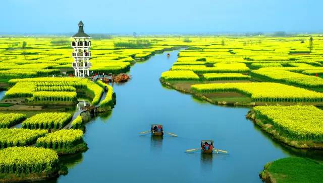 美到窒息的中國最美油菜花海，邂逅花海風(fēng)景！