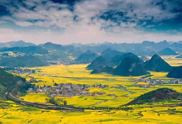 美到窒息的中國(guó)最美油菜花海，邂逅花海風(fēng)景！