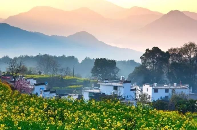 美到窒息的中國(guó)最美油菜花海，邂逅花海風(fēng)景！