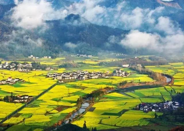 美到窒息的中國最美油菜花海，邂逅花海風(fēng)景！