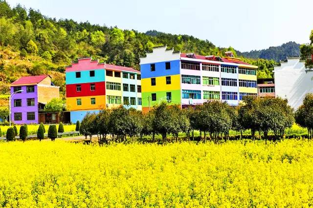 美到窒息的中國最美油菜花海，邂逅花海風(fēng)景！