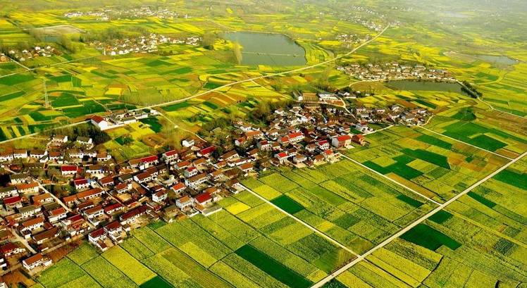 美到窒息的中國最美油菜花海，邂逅花海風景！