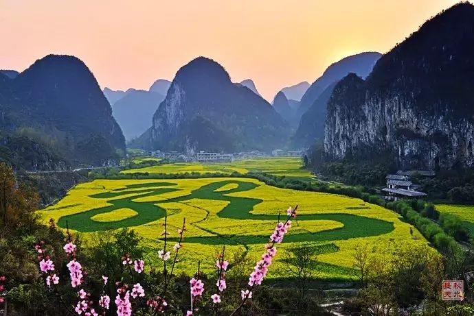 美到窒息的中國最美油菜花海，邂逅花海風(fēng)景！