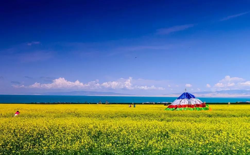 美到窒息的中國最美油菜花海，邂逅花海風(fēng)景！