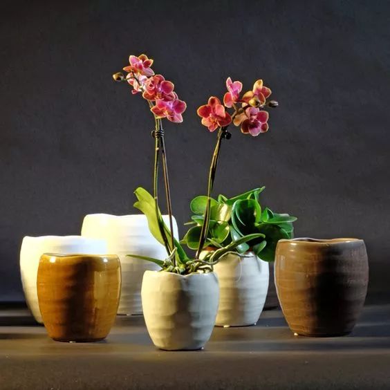 花香滿溢，唯美花藝設(shè)計(jì)！