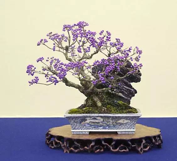 花香滿溢，唯美花藝設(shè)計(jì)！