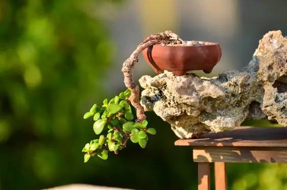 花香滿溢，唯美花藝設計！