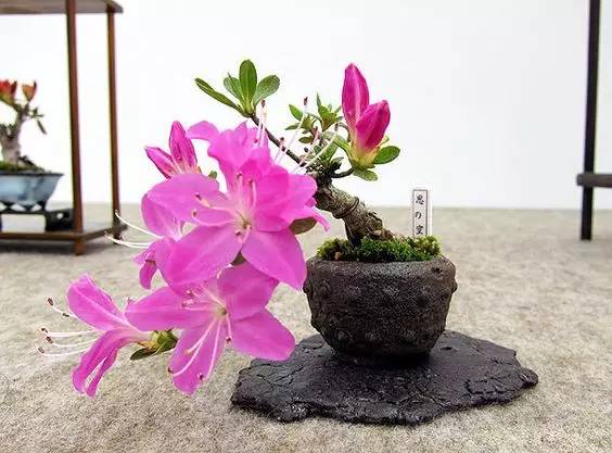 花香滿溢，唯美花藝設計！