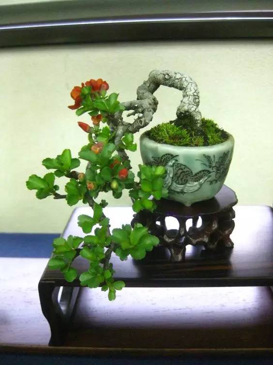 花香滿溢，唯美花藝設計！