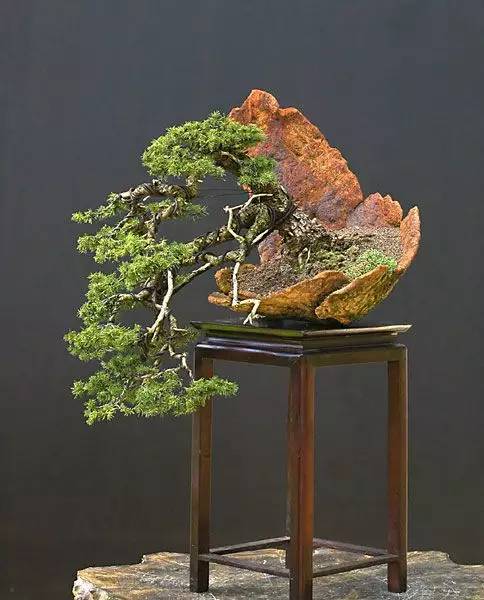 花香滿溢，唯美花藝設(shè)計！