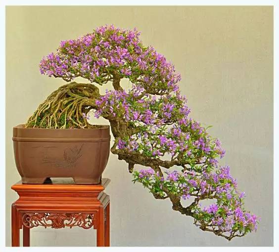 花香滿溢，唯美花藝設(shè)計！