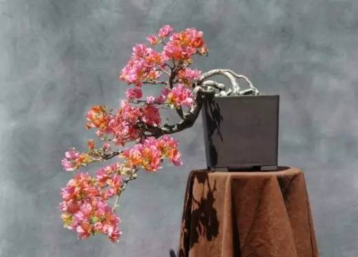 花香滿溢，唯美花藝設計！