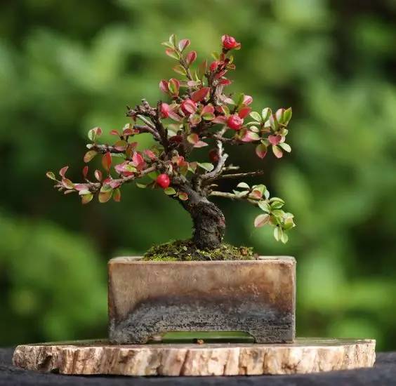 花香滿溢，唯美花藝設計！