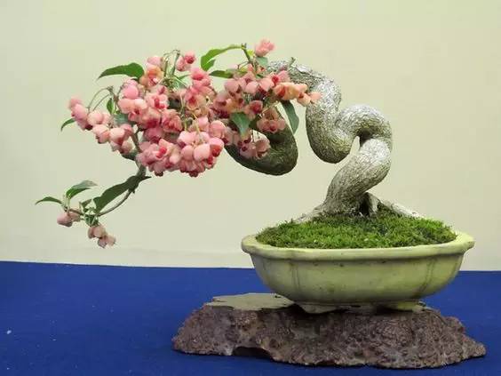 花香滿溢，唯美花藝設計！