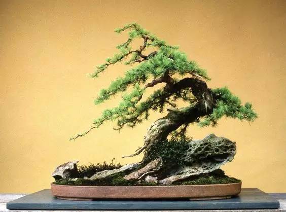 花香滿溢，唯美花藝設計！