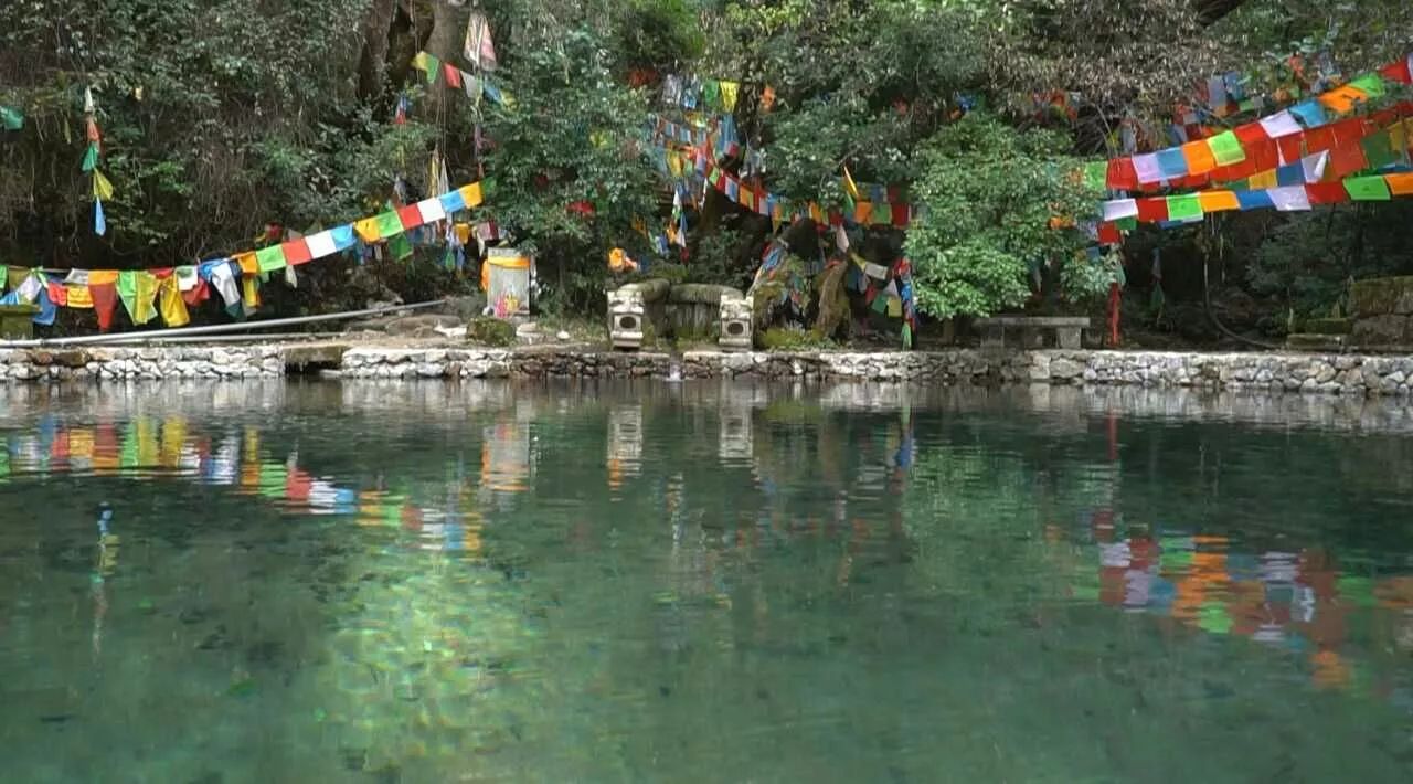 麗江·靈凈山舍，一花一木一世界！