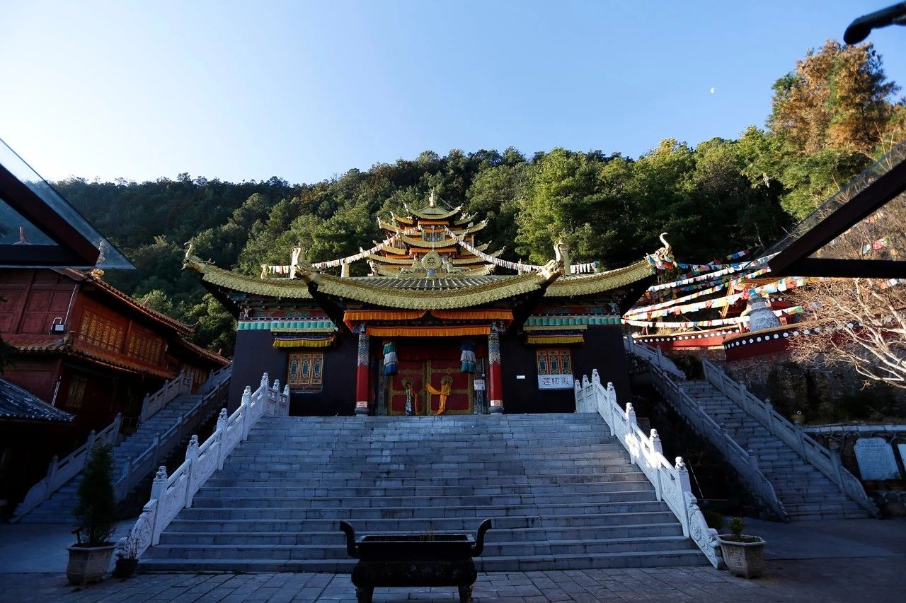 麗江·靈凈山舍，一花一木一世界！