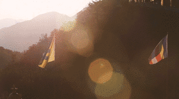 麗江·靈凈山舍，一花一木一世界！