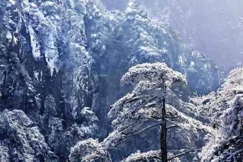 雪后黃山風(fēng)景宛如人間仙境，舞一曲雪中霓裳羽