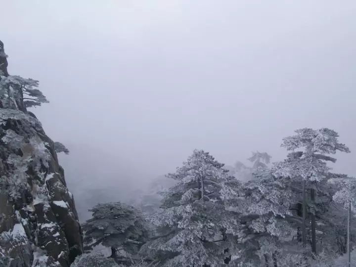 雪后黃山風(fēng)景宛如人間仙境，舞一曲雪中霓裳羽