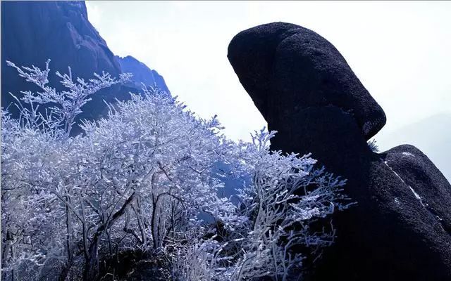 雪后黃山風(fēng)景宛如人間仙境，舞一曲雪中霓裳羽