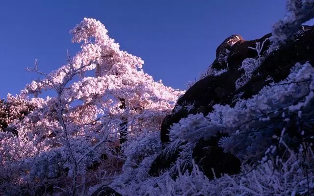 雪后黃山風(fēng)景宛如人間仙境，舞一曲雪中霓裳羽