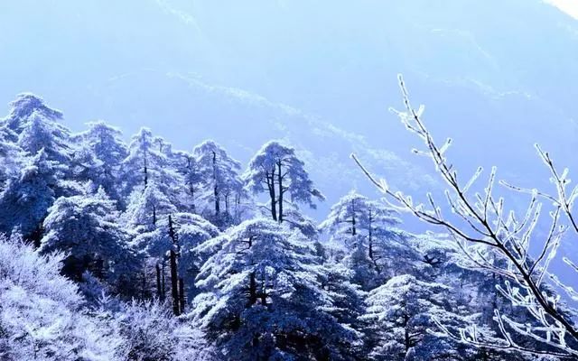雪后黃山風(fēng)景宛如人間仙境，舞一曲雪中霓裳羽