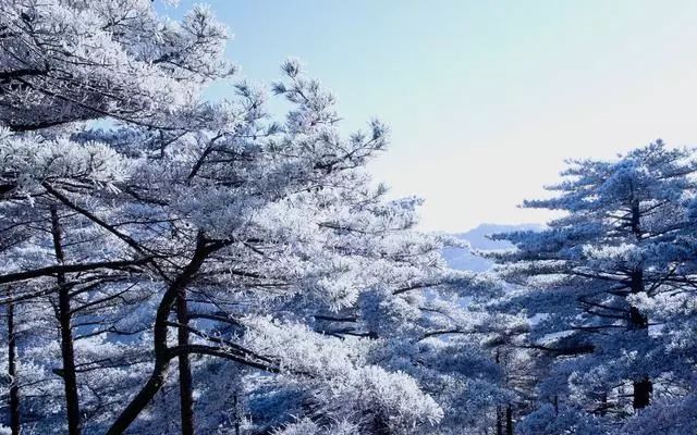 雪后黃山風(fēng)景宛如人間仙境，舞一曲雪中霓裳羽