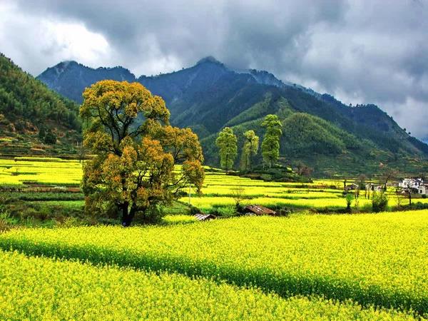 8處風(fēng)景如詩(shī)如畫，春天最值得去的地方！