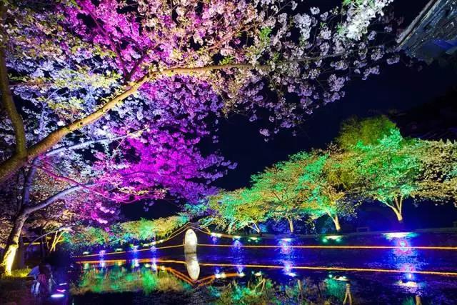 8處風(fēng)景如詩如畫，春天最值得去的地方！