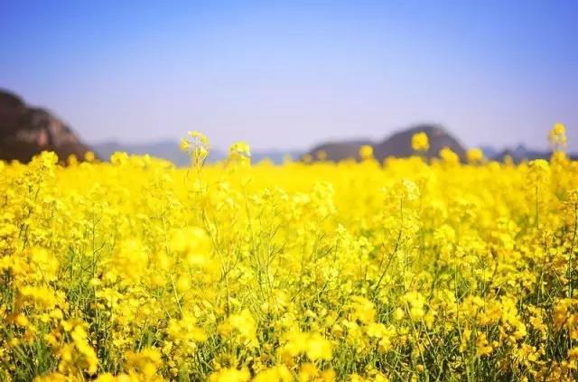 8處風(fēng)景如詩如畫，春天最值得去的地方！