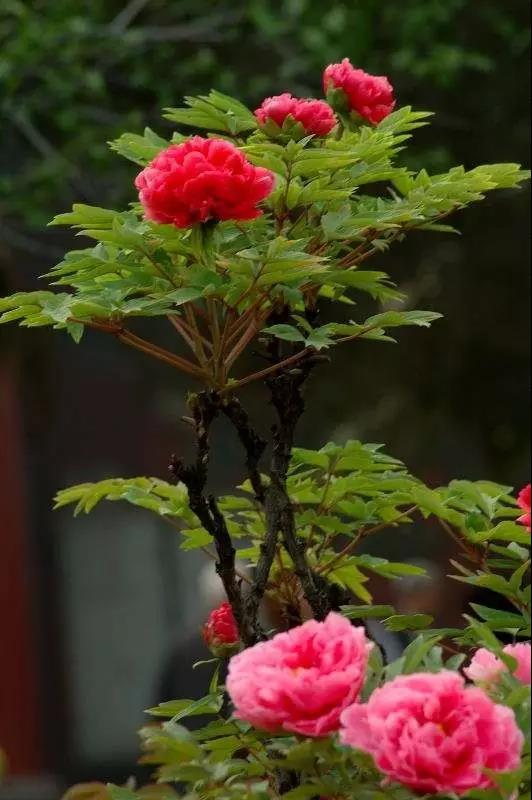 8處風(fēng)景如詩如畫，春天最值得去的地方！