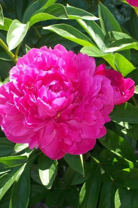 8處風(fēng)景如詩如畫，春天最值得去的地方！