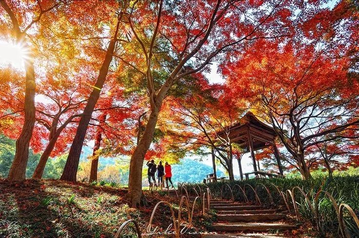 美呆了！祖國(guó)的秋色盡收眼底