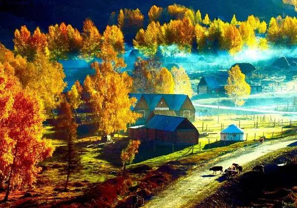 美呆了！祖國(guó)的秋色盡收眼底