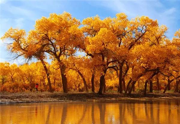 美呆了！祖國(guó)的秋色盡收眼底