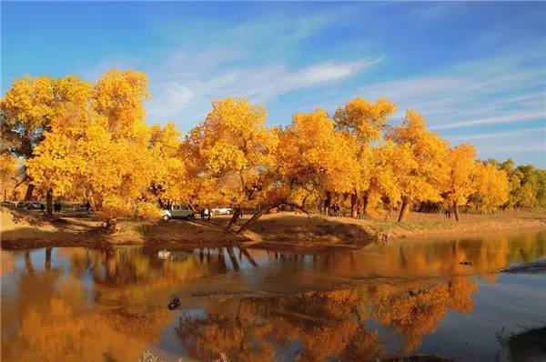 美呆了！祖國(guó)的秋色盡收眼底