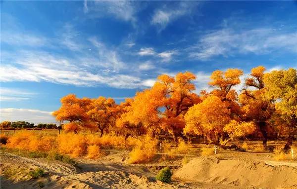 美呆了！祖國(guó)的秋色盡收眼底