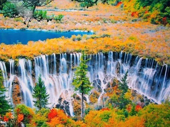 美呆了！祖國(guó)的秋色盡收眼底