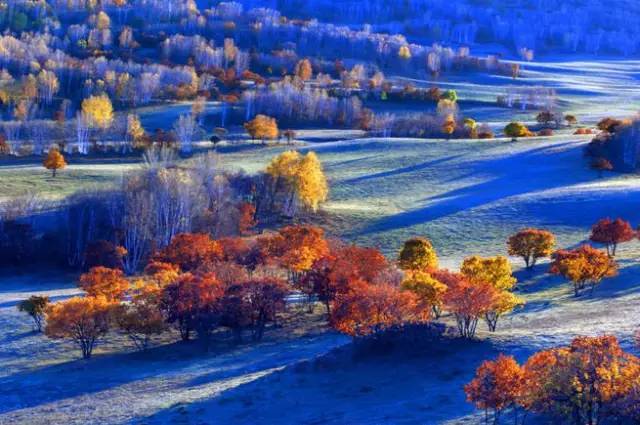 美呆了！祖國的秋色盡收眼底