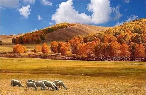 美呆了！祖國的秋色盡收眼底