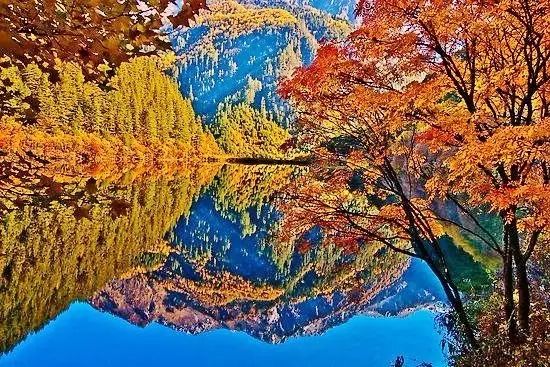 美呆了！祖國(guó)的秋色盡收眼底