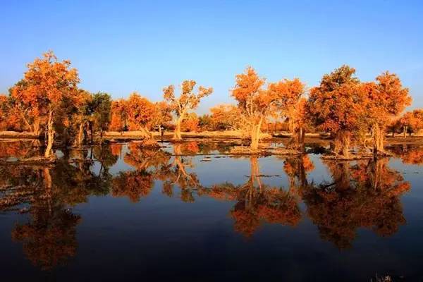 美呆了！祖國的秋色盡收眼底