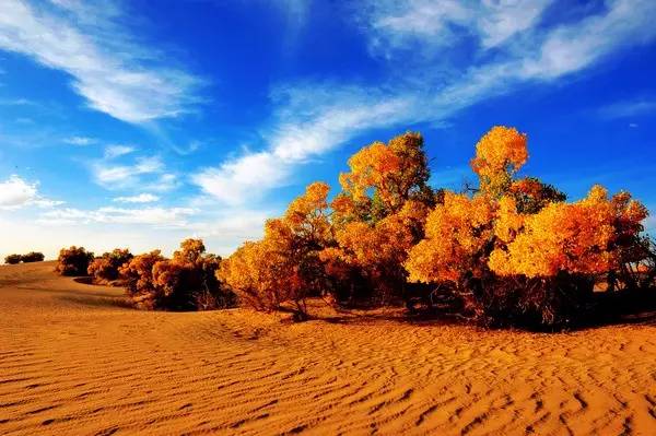 美呆了！祖國的秋色盡收眼底