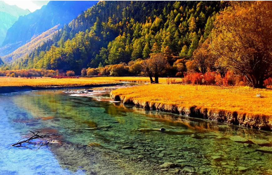 美呆了！祖國的秋色盡收眼底